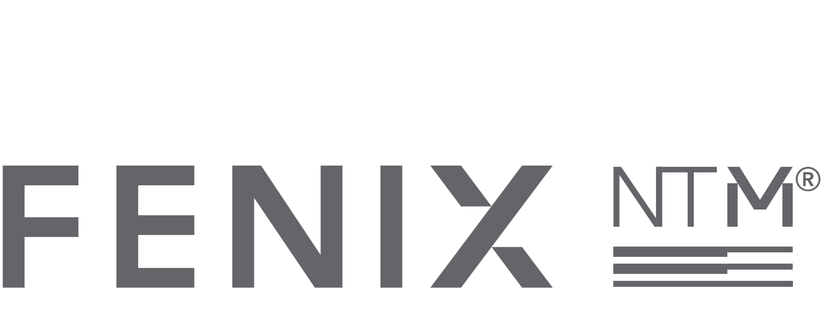 logo-fenixntm-grey-v Главная